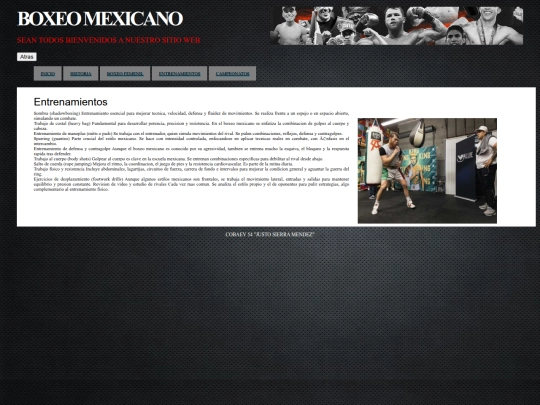 Intelectuales screenshot