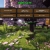 egecraft.neocities.org avatar