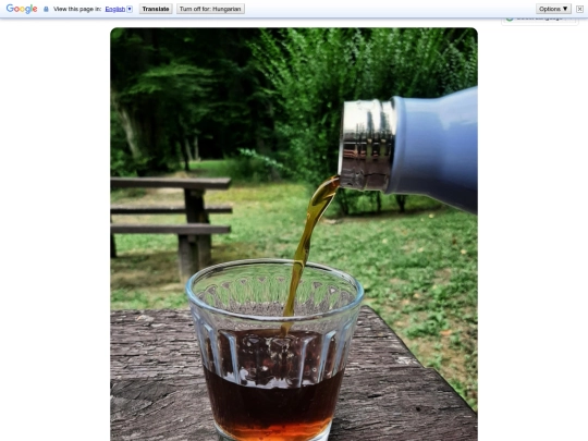 Posts/1 screenshot