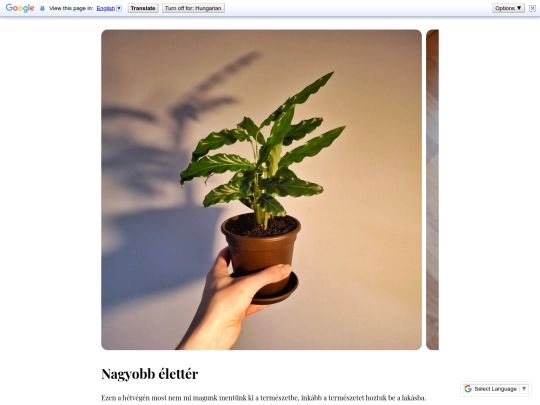 Posts/104 screenshot