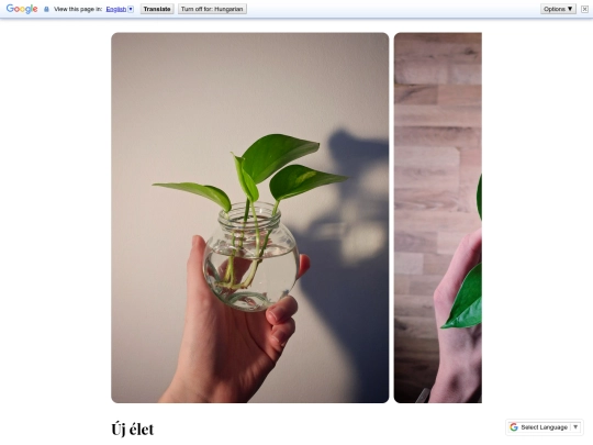 Posts/132 screenshot
