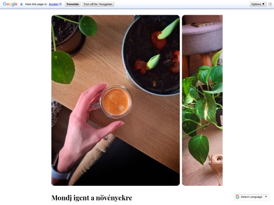 Posts/142 screenshot