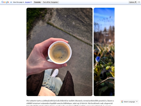 Posts/166 screenshot