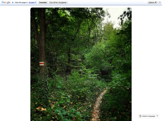 Posts/20 screenshot