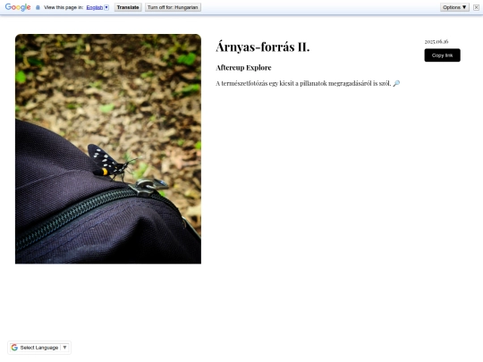 Posts/245 screenshot