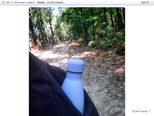 Posts/28 screenshot
