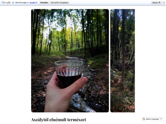 Posts/38 screenshot