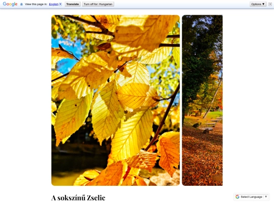 Posts/63 screenshot