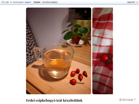 Posts/77 screenshot