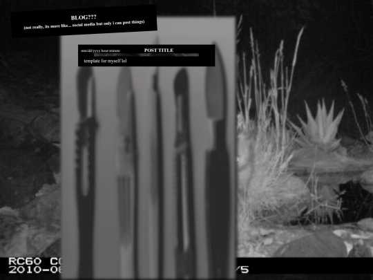 blog screenshot