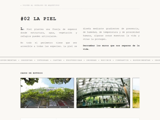 arq_02_Piel screenshot