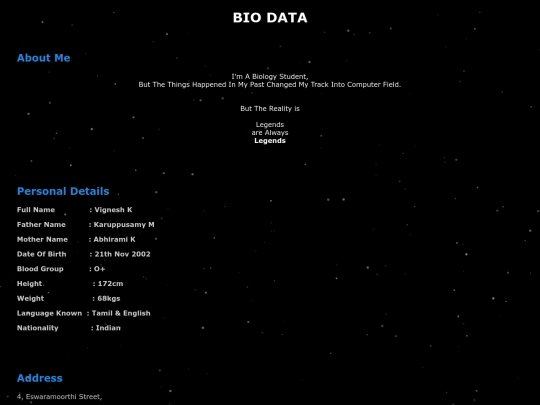 Portfolio/biodata screenshot