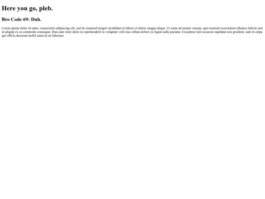 loremipsum screenshot