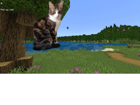 cat screenshot