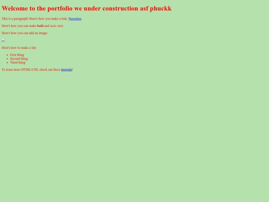Portfolio screenshot