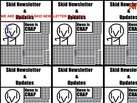 SkidNewsletter screenshot