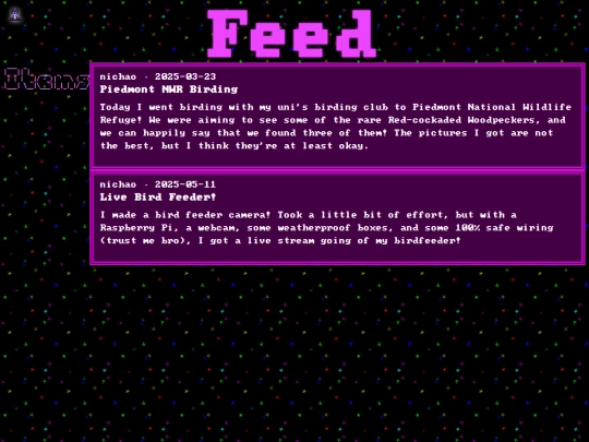 feed screenshot