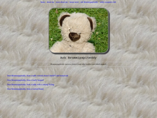 askbrummipapiteddy screenshot