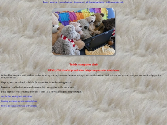webprogramming screenshot