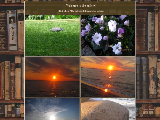 gallery/page screenshot
