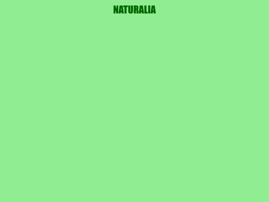 ejercicios/proyectofinal/animalia screenshot