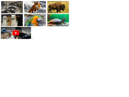 ejercicios/proyectofinal/faunaamerica screenshot