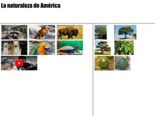 ejercicios/proyectofinal/naturalezaamerica screenshot