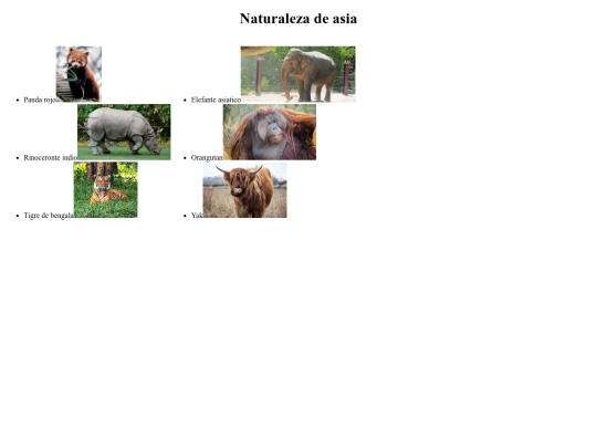 ejercicios/proyectofinal/naturalezaasia screenshot
