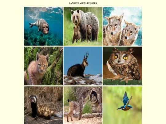 ejercicios/proyectofinal/naturalezaeuropa screenshot