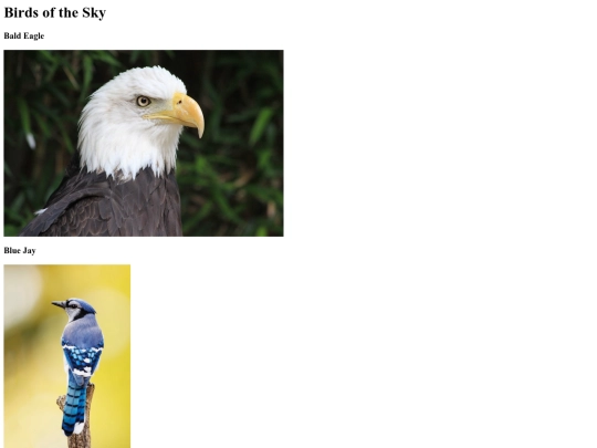 birds of the sky/BirdsOfTheSky screenshot