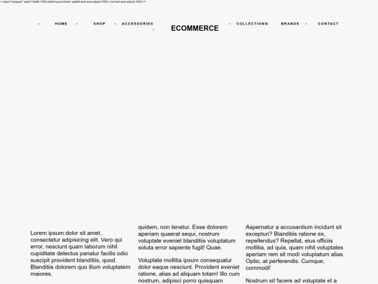 ecommerce/html screenshot