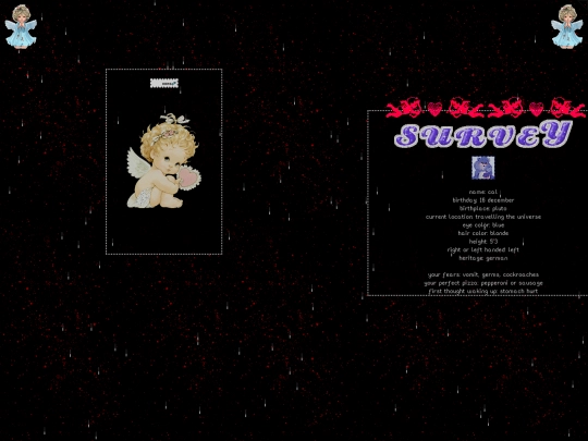 survey/survey screenshot