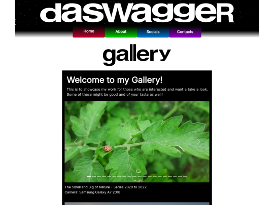 gallery screenshot