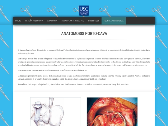 HTML/anastomosis screenshot