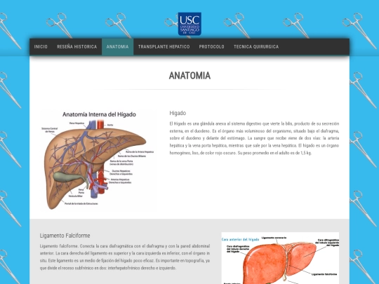 HTML/higado screenshot