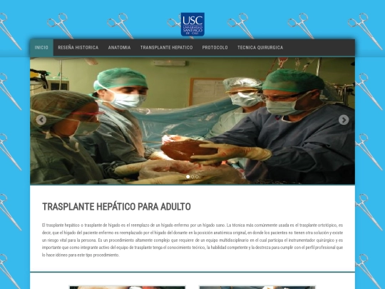 HTML screenshot