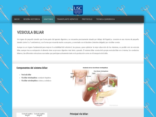 HTML/vesicula-biliar screenshot