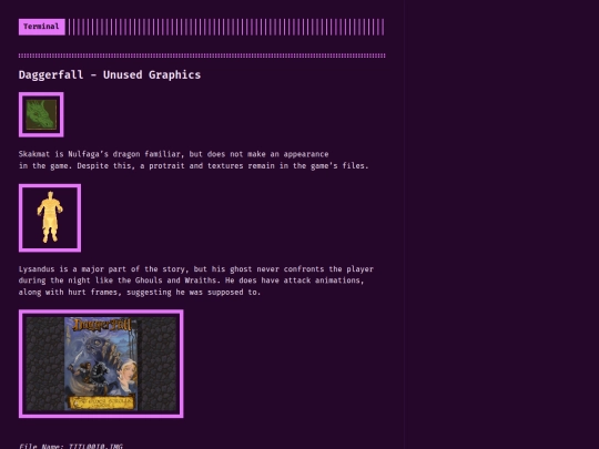daggerfall/daggfx screenshot