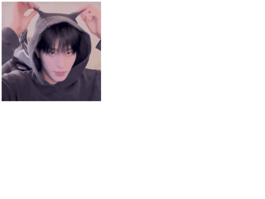 piwon screenshot