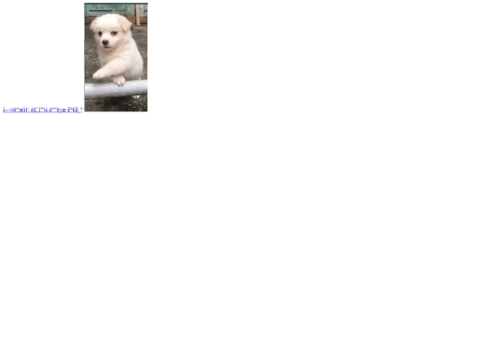 Untitled-1 screenshot