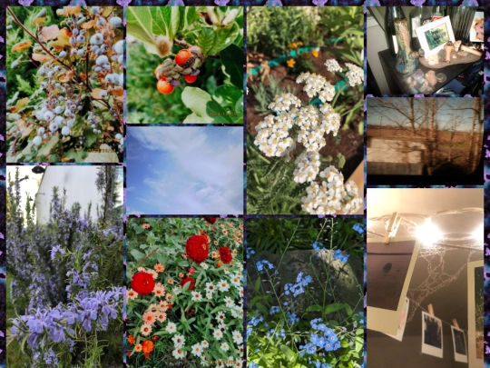 photos screenshot