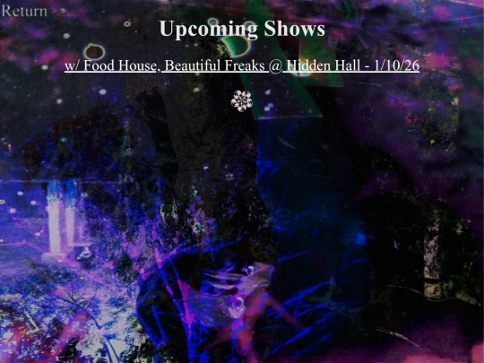 shows screenshot