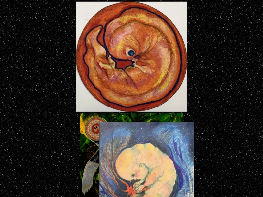 Illustrations screenshot