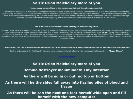 Salziz screenshot