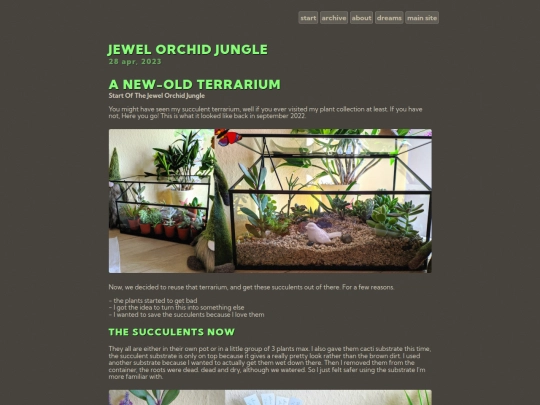Blog/posts/2023-04-28-Jewel-Orchid-Jungle screenshot