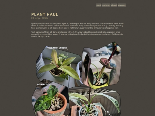 Blog/posts/2026-09-07-Plant-Haul screenshot