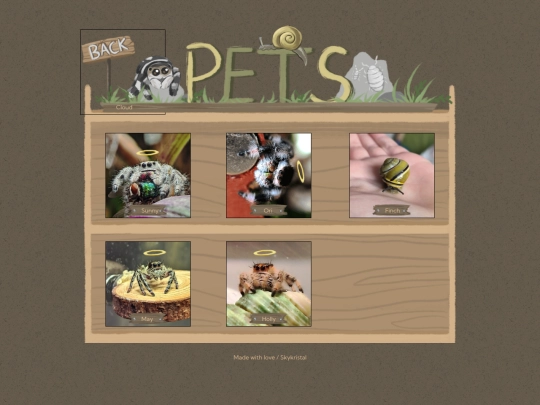 Pets screenshot