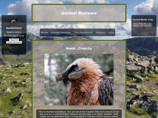 reviews/beardedvulture screenshot