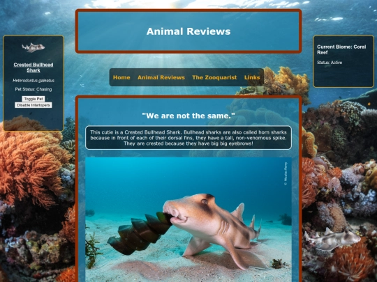 reviews/crestedbullheadshark screenshot