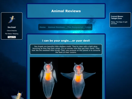 reviews/seaangel screenshot
